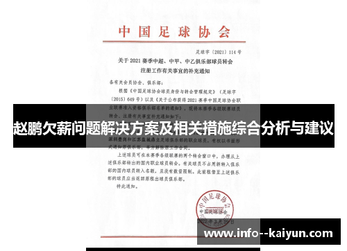 赵鹏欠薪问题解决方案及相关措施综合分析与建议