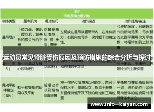 运动员常见肾脏受伤原因及预防措施的综合分析与探讨