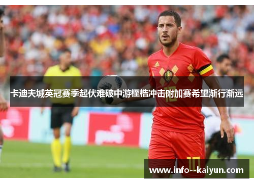 卡迪夫城英冠赛季起伏难破中游桎梏冲击附加赛希望渐行渐远 卡迪夫城英冠赛季起伏难破中游桎梏冲击附加赛希望渐行渐远